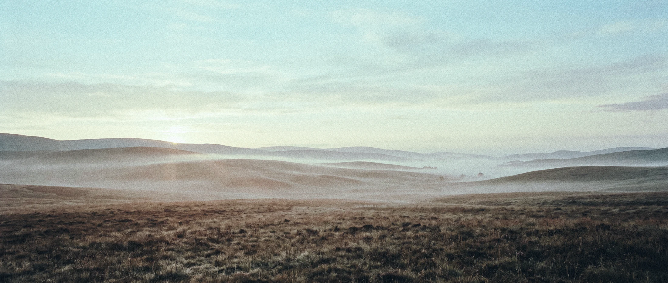 An open, misty landscape under a pale sky
